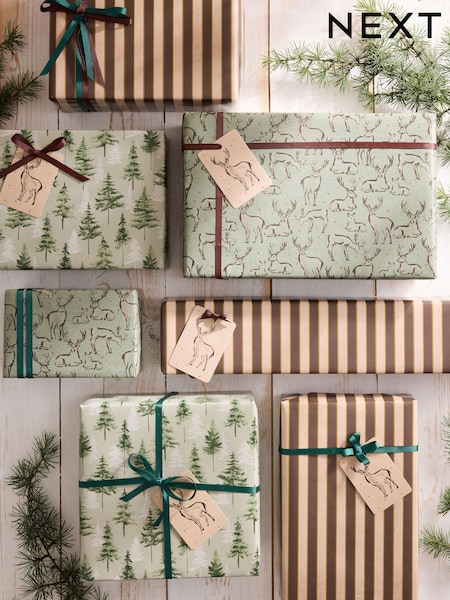 Set Of 3 Christmas Wrapping Paper Gift Tags And Ribbons Set