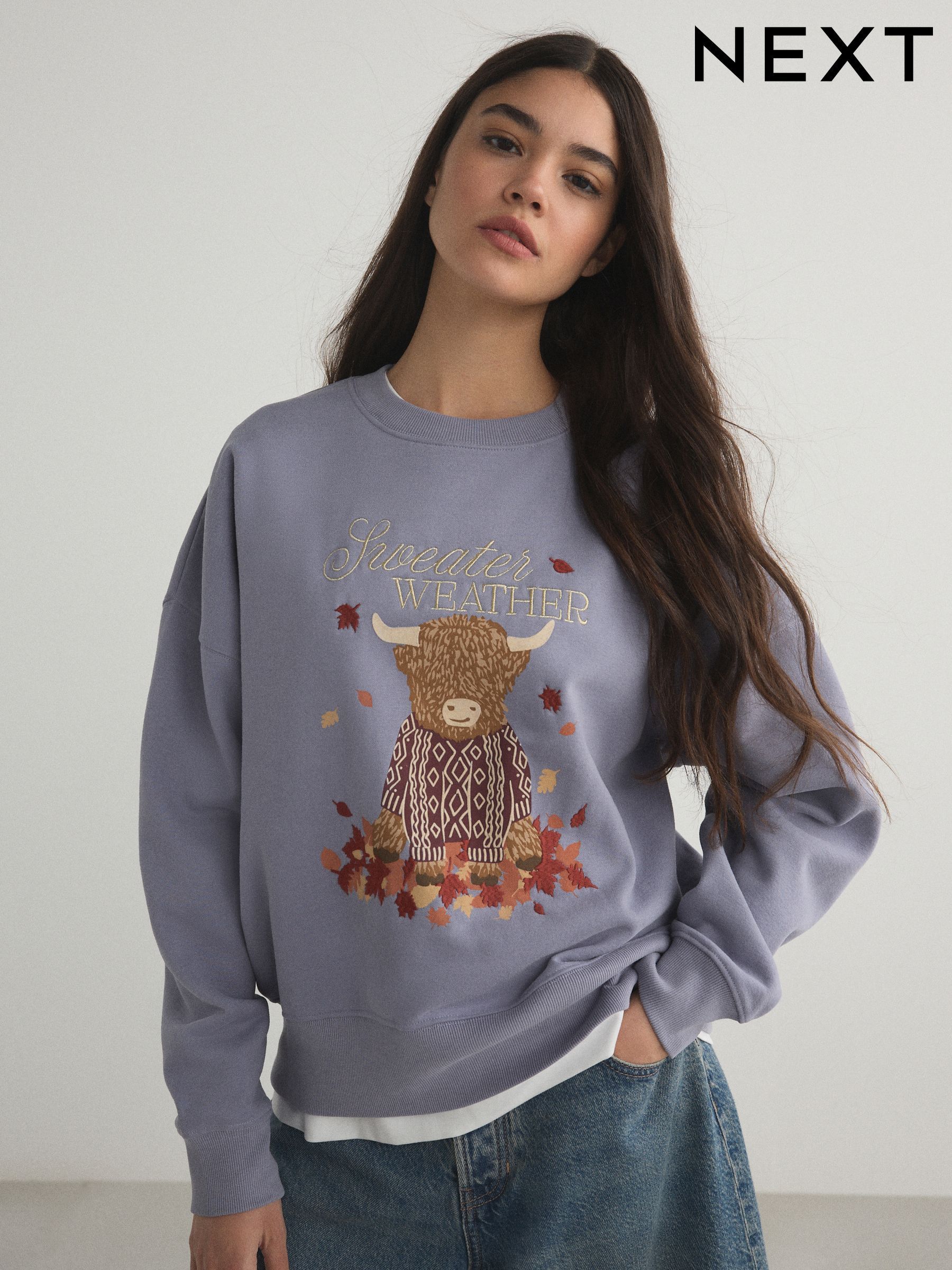 Women's Sweat Tops | Next Romania