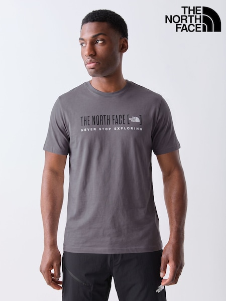 Grey - Regular The North Face Logo T-shirt