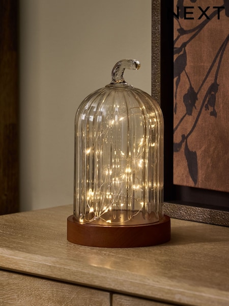 Cloche Battery Operated Feature Light