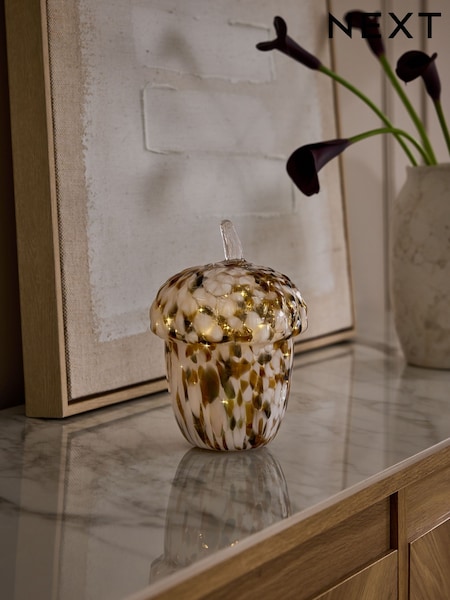 Confetti Glass Acorn Battery Operated Feature Light