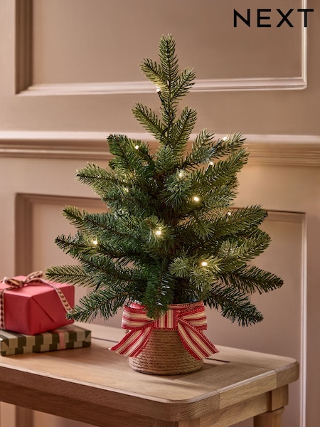 Nordmann Fir Pre Lit Christmas Tree