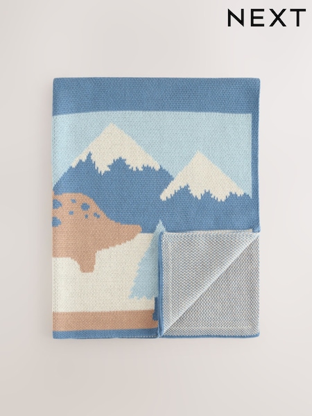 Knitted Baby Blanket