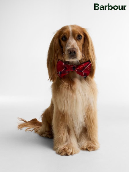 Barbour® Tartan Dog Bow Tie