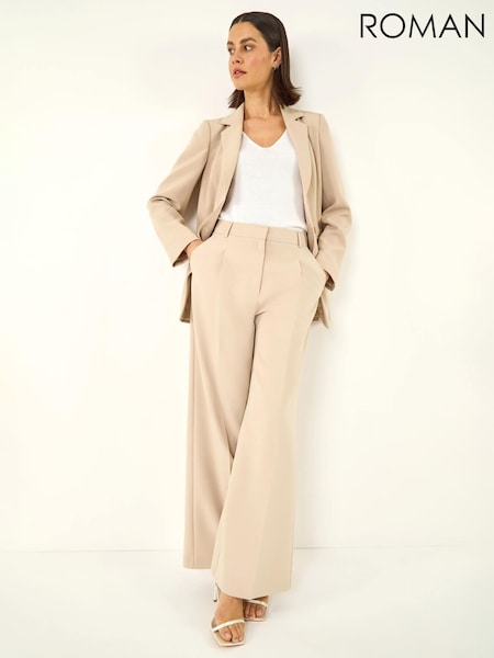 Roman Brown Pleat Front Wide Leg Trousers (H05153) | SGD 87