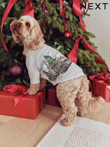Expreso de Santa Gris - Pijama con diseño navideño a juego para mascotas
