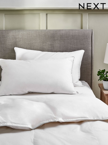 Set of 2 100% Cotton Goose Feather and Down Pillows (H13784) | 118 €