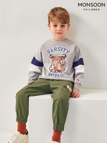 Monsoon Grey Tiger Varsity Sweatshirt (H16711) | kr343 - kr400