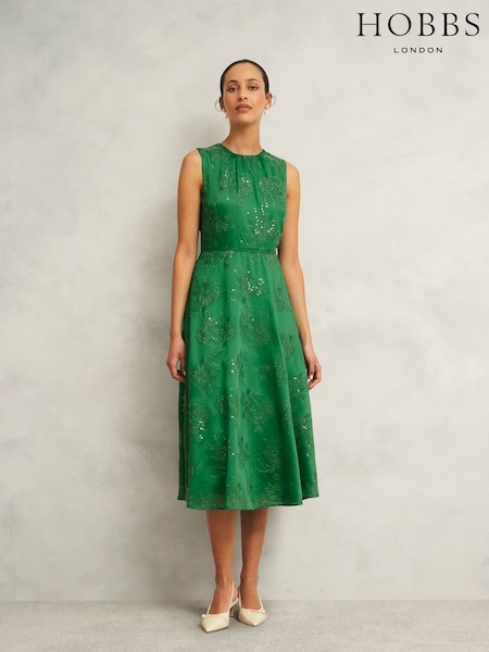 Hobbs Green Rachel Dress (H20340) | ₪1,001