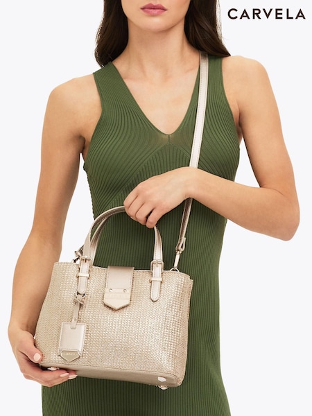 Carvela Maria Mini Stripe Bag (H21759) | $228