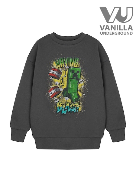 Vanilla Underground Grey Boys Minecraft 100% Cotton Sweatshirt (H24390) | ₪126