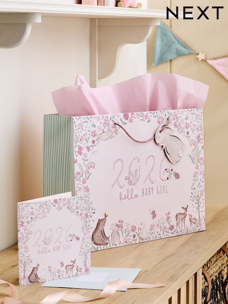 Baby Girl Born in 2026 Gift Bag and Card Set (H24424) | 20 ر.ق.