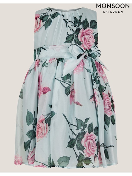 Monsoon Green Baby Rosaline Floral Party Dress (H26854) | 218 QAR - 228 QAR