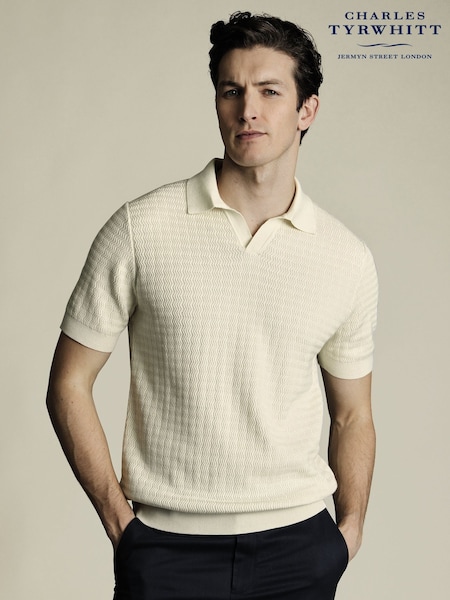 Charles Tyrwhitt Natural Zig Zag Short Sleeve 100% Cotton Trophy Neck Polo shirt (H29146) | 346 QAR