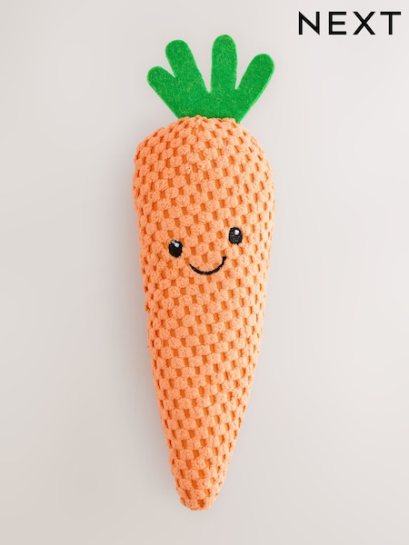 Orange Carrot Pet Toy (H30149) | AED25