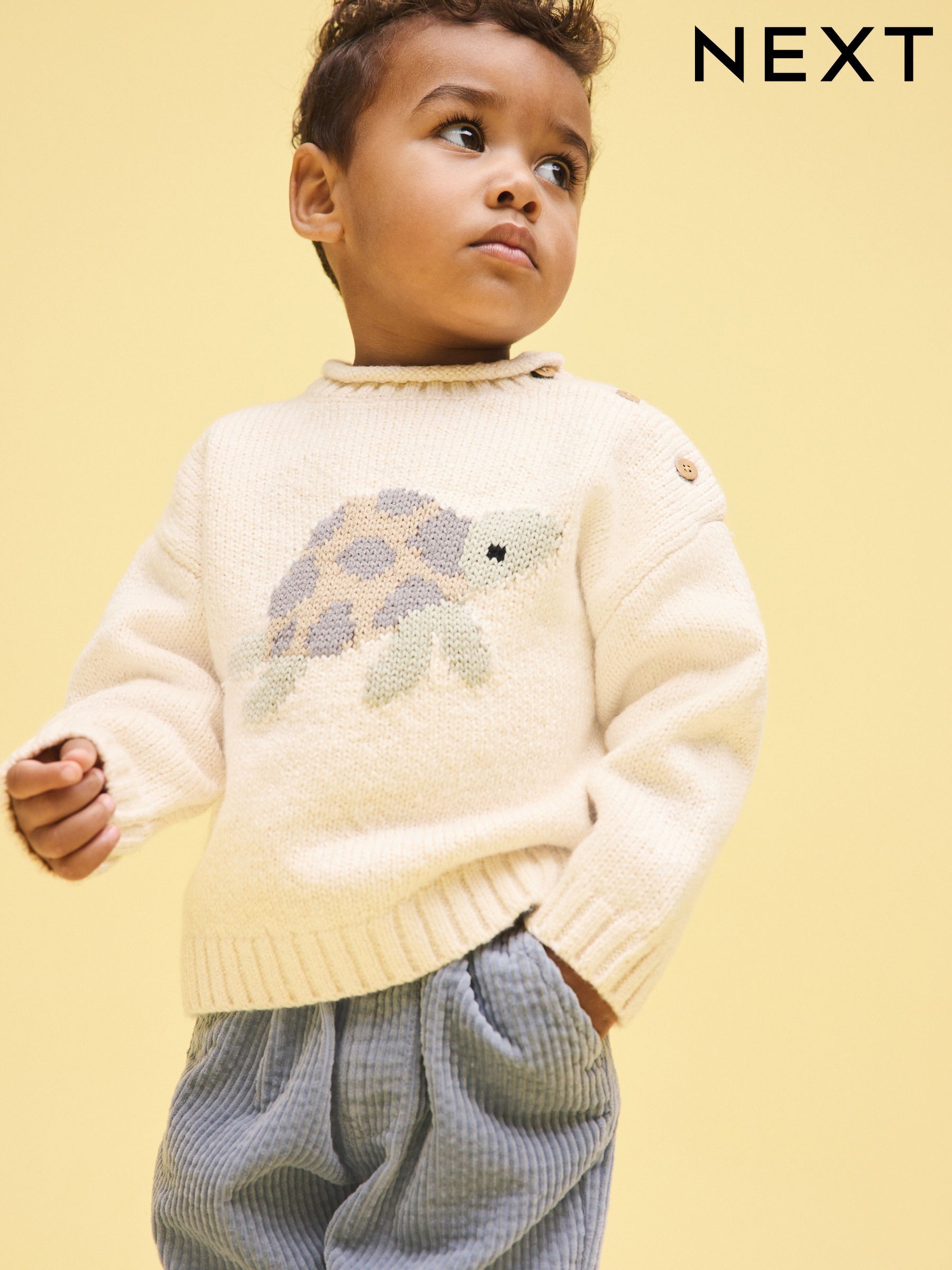 Boys' Knitwear & Sweaters | Next Official Site