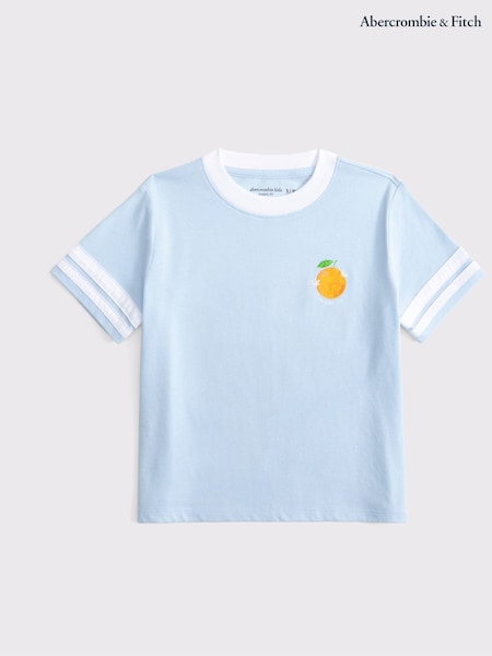 Abercrombie & Fitch Oversized Destination T-Shirt (H45888) | €24