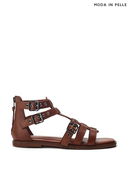 Moda in Pelle SH Shelly Flat Gladiator Brown Sandals (H48656) | R$ 980