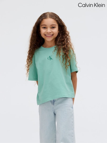Calvin Klein Logo Boxy T-Shirt (H55300) | 28 € - 36 €
