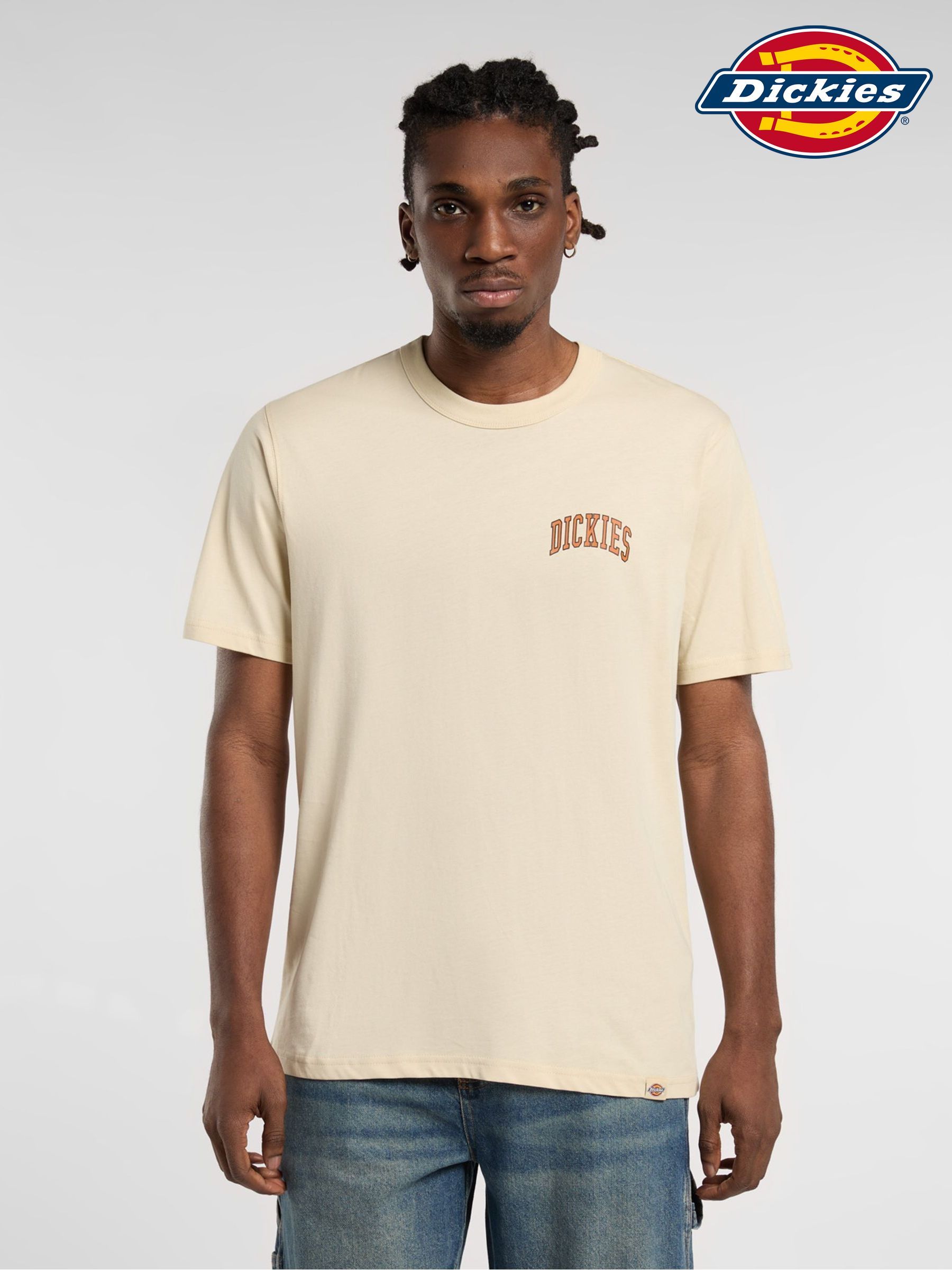 Buy Men's Holidayshop Dickies Holiday Graphic Online | Next USA