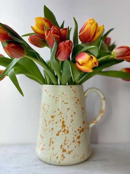 Hot Pottery Burnt Orange Splatter Jug (H58857) | SGD 106