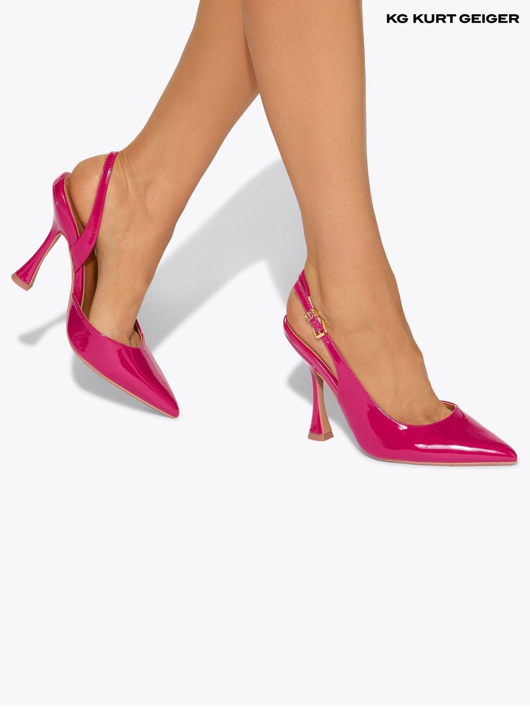 Offen【Reborn project】ROSE-pointed /WHITE Rosa 'White Climber'® - Trandafir floribunda, catarator