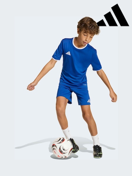 adidas Blue Entrada 26 Training Shorts (H61856) | AED58