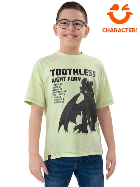 Character How To Train Your Dragon Night Fury T-Shirt (H64519) | 107 LEI