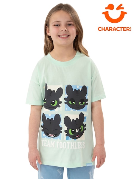 Character Green How To Train Your Dragon Toothless T-Shirt (H64520) | AED100