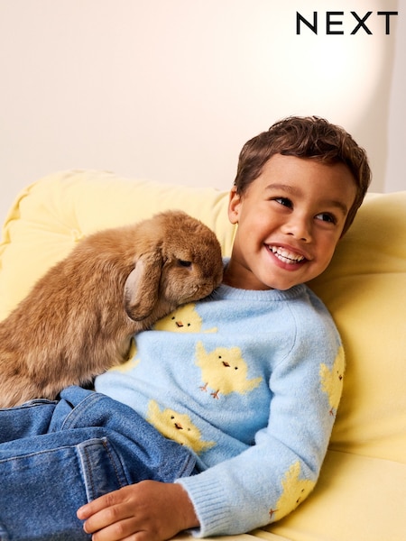 Blue Chick Knitted Crew Neck Jumper (3mths-7yrs) (H67087) | AED76 - AED86