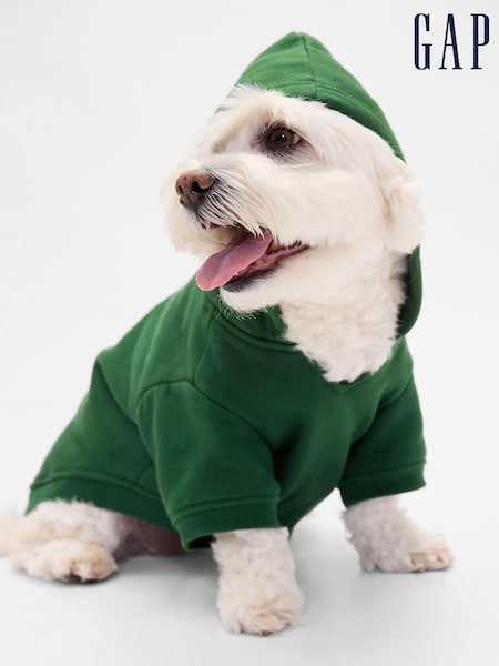 Gap Green Logo Pet Hoodie (H68402) | €37
