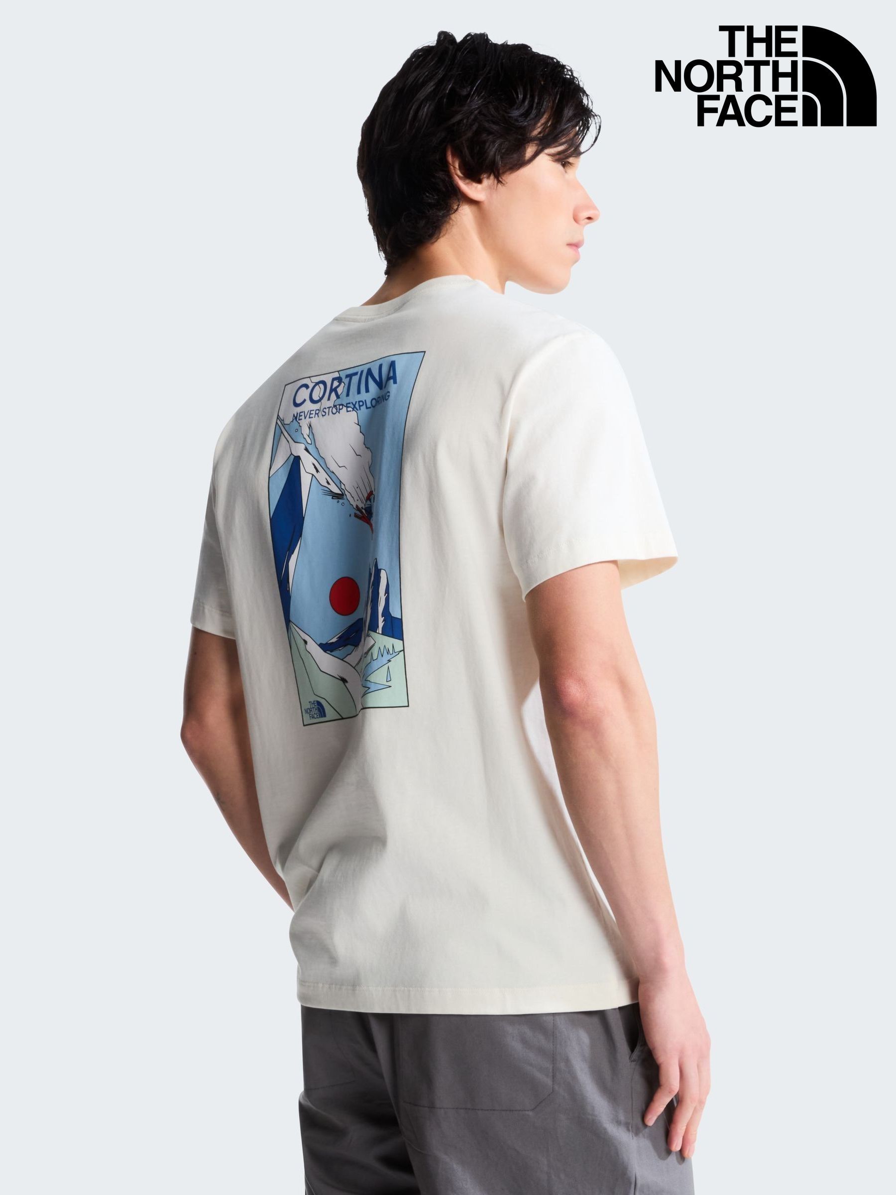 Buy Men's T Shirts The North Face 100% Cotton Backprint Online
