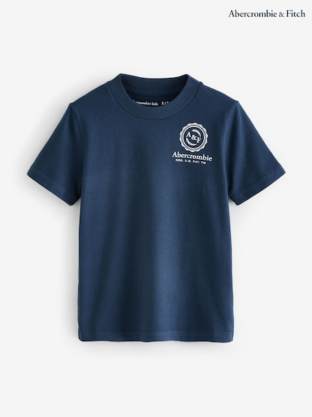 Abercrombie & Fitch Blue Long Sleeve Logo T-Shirt With Back Graphic (H76981) | 89 QAR