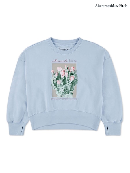 Abercrombie & Fitch Blue Graphic Crew Neck Jumper (H77023) | AED204