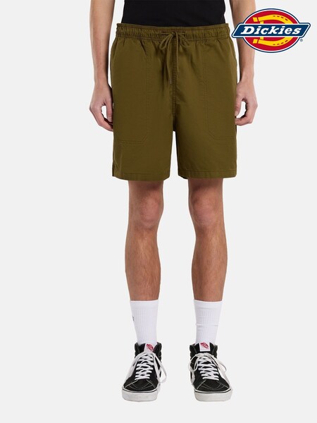 Dickies Green Pelican Shorts (H82592) | AED291