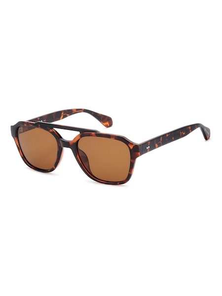 Prive Revaux Brown Navigator Sunglasses in Havana (H87772) | €62