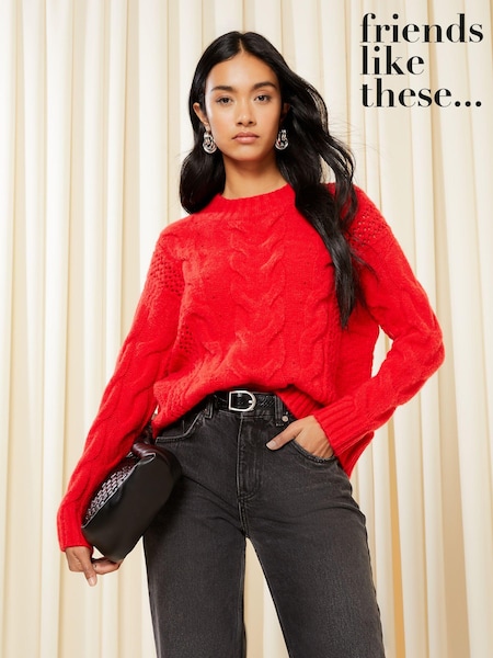 Friends Like These Berry Red Crew Neck Cable Pointelle Knit Jumper (K25889) | €29