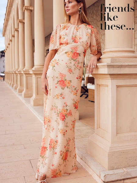 Friends Like These Pink Floral Chiffon Flutter Sleeve Maxi Dress (K41741) | € 22