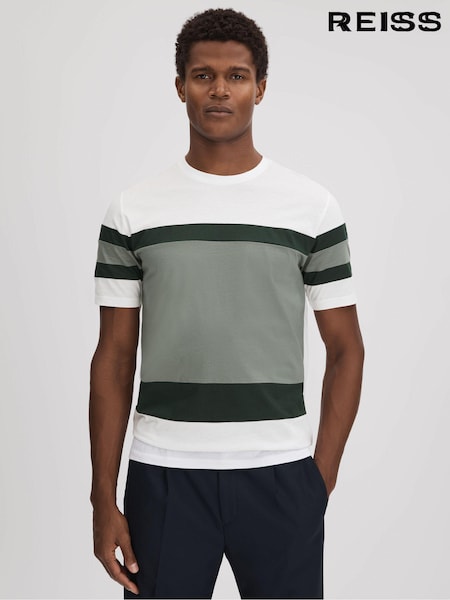 Reiss Sage Multi Auckland Mercerised Cotton Crew Neck T-Shirt (K74361) | €48.50
