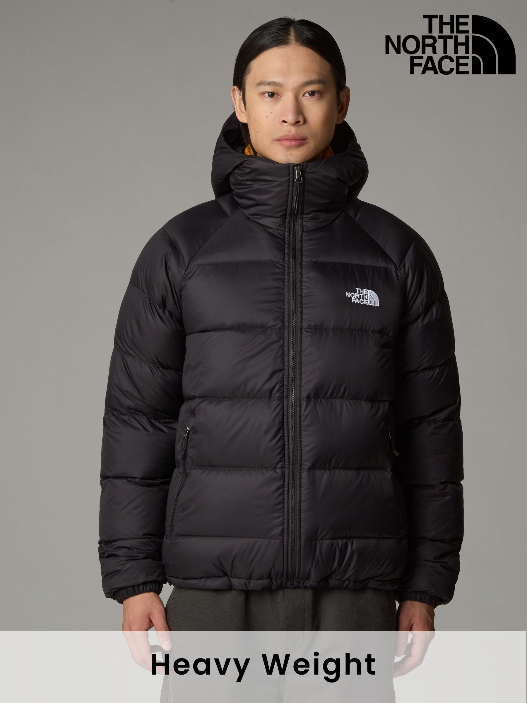 North face coat next online