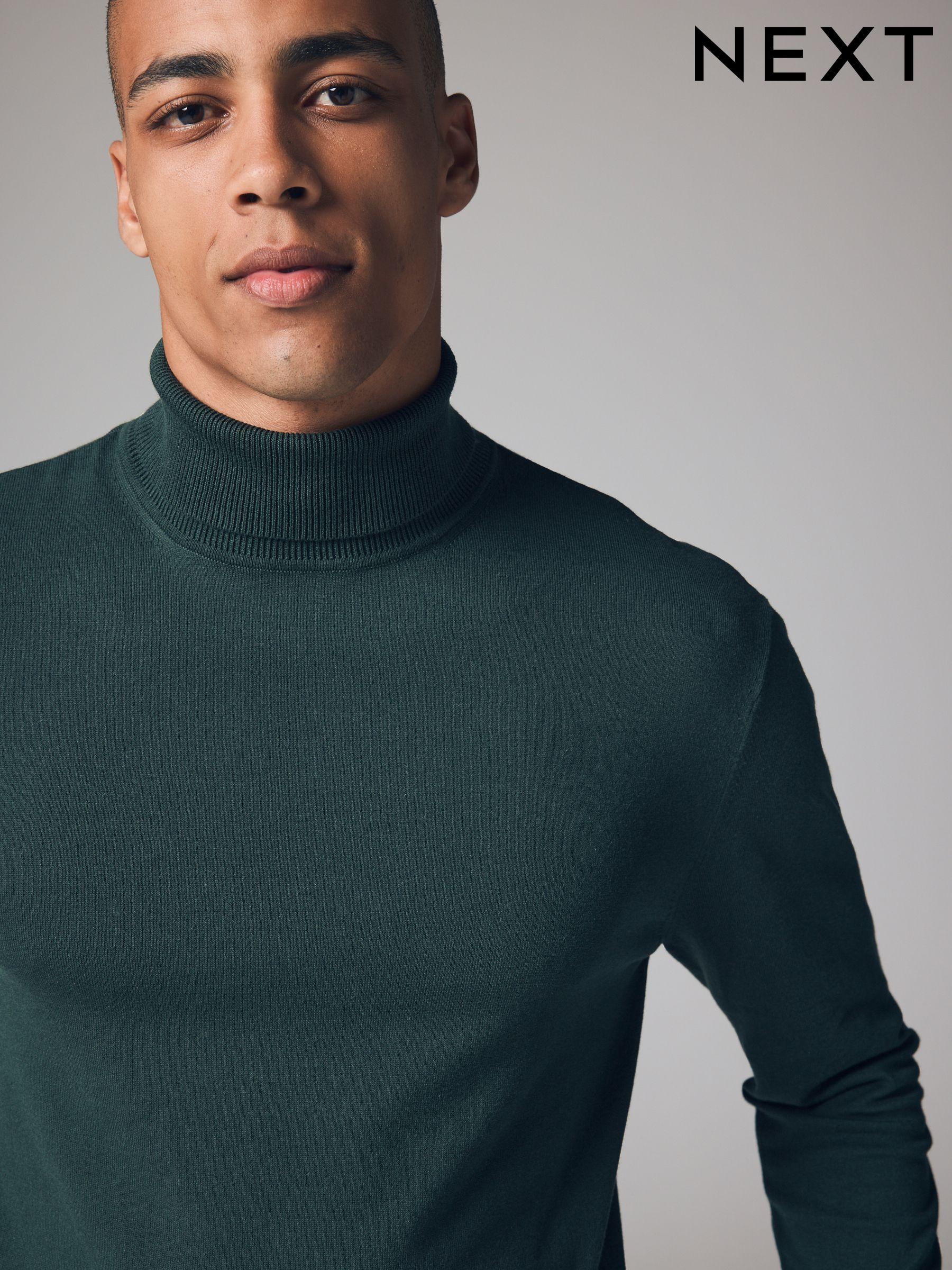 Next roll neck jumpers discount