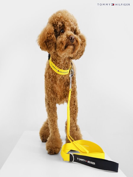 Amarillo - Tommy Hilfiger Dog Leash (K86985) | 100 €