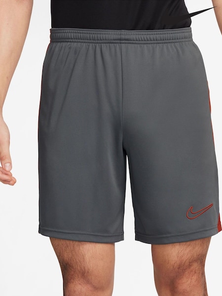 Nike Iron Grey Dri-FIT Academy Training Shorts (K87135) | €30
