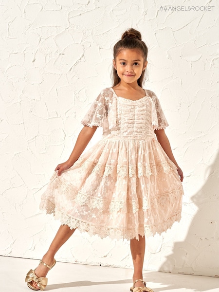Angel & Rocket Pink Annabelle Vintage Lace Mesh Dress (M06039) | AED200 - AED217