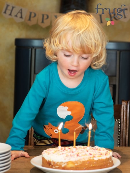 Frugi Blue Organic Cotton 3rd Birthday T-Shirt (M21838) | €29