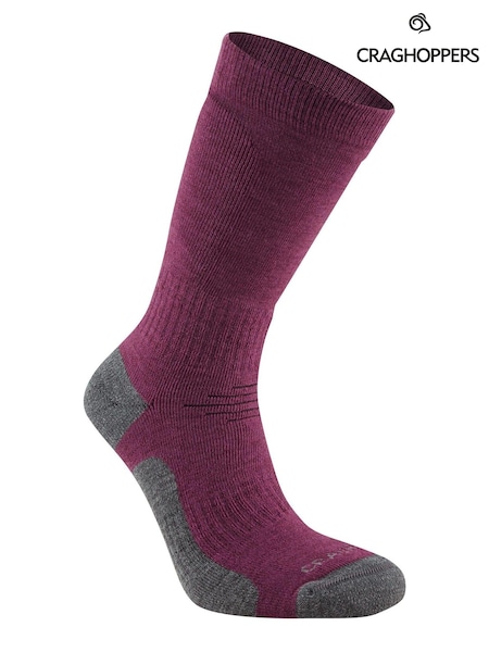 Craghoppers Purple Trek Socks (M63736) | 23 €