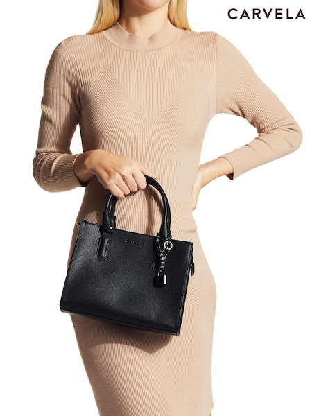 Carvela Mini Latte Bag (M87591) | € 154