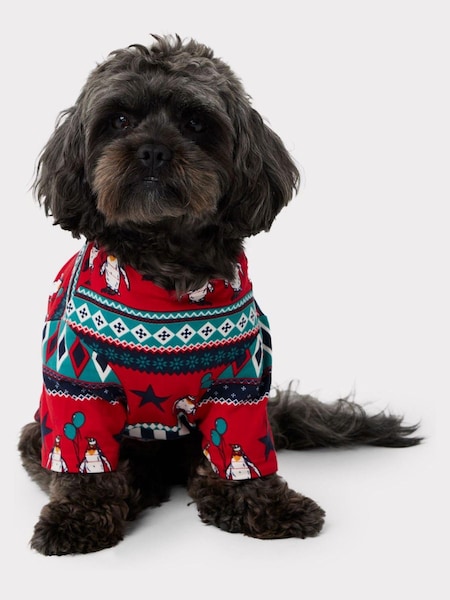 Chelsea Peers Green Recycled Fibre Carnival Penguin Fair Isle Print Dog Pyjamas (N01208) | €12.50