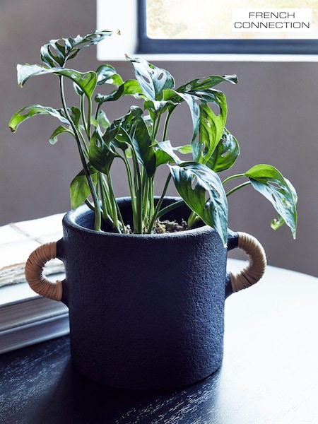 French Connection Black Small Terracotta Plant Pot (N05236) | €34