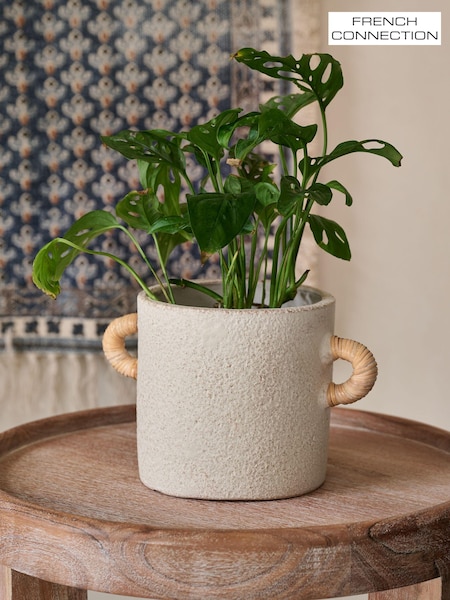 French Connection Natural Small Terracotta Plant Pot (N05263) | €34